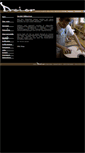 Mobile Screenshot of dreier-gitarren.de